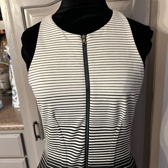 Bcbgmaxazria Black & White Stripe Zip Front Fit & Flare Sundress - Picture 6 of 8